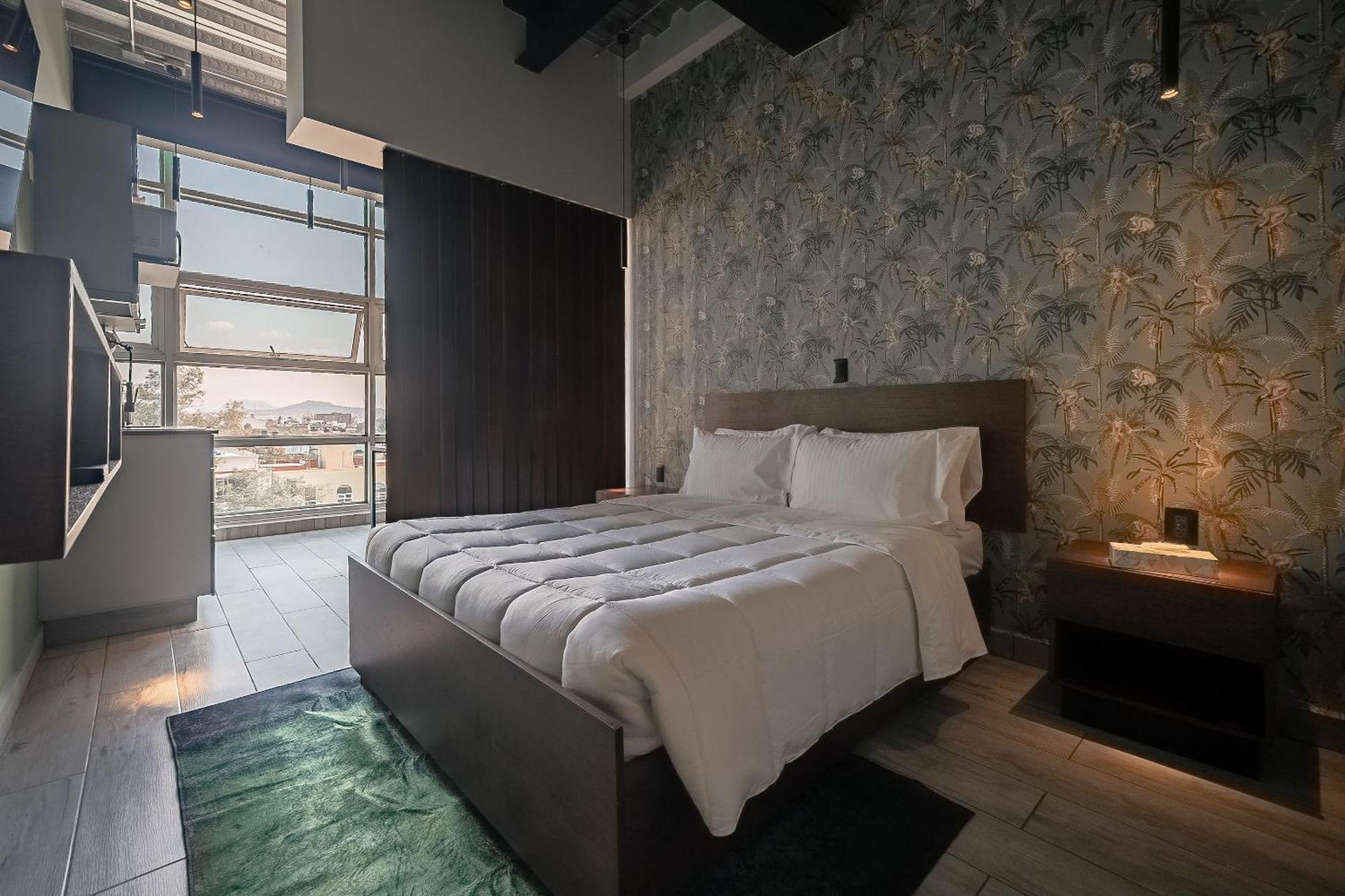 The Jungle Loft Tropical Comfort In A Centric Location With Kitchen Mexico by Eksteriør bilde